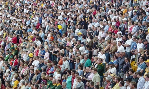 analyze your audience