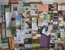 5 Brands Using Pinterest Brilliantly