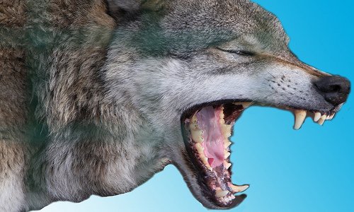 Google Plus Bares Its Teeth